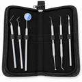 6-Piece Dental Examination & Diagnostic Instrument Kit with Carrying Case